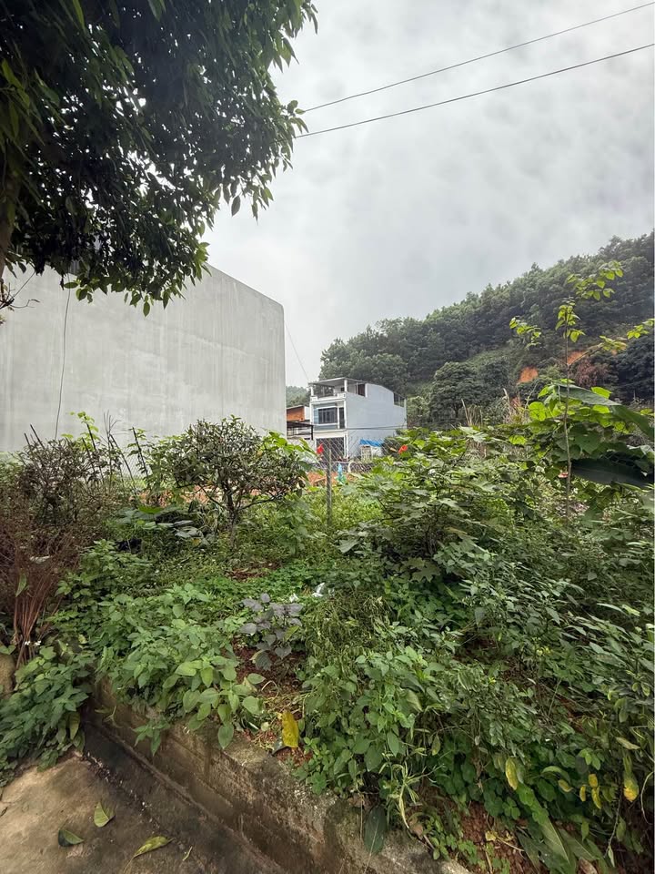 Đất nền Hồng Liên Trấn Yên 99m² - Sổ đỏ chính chủ, 2 mặt đường