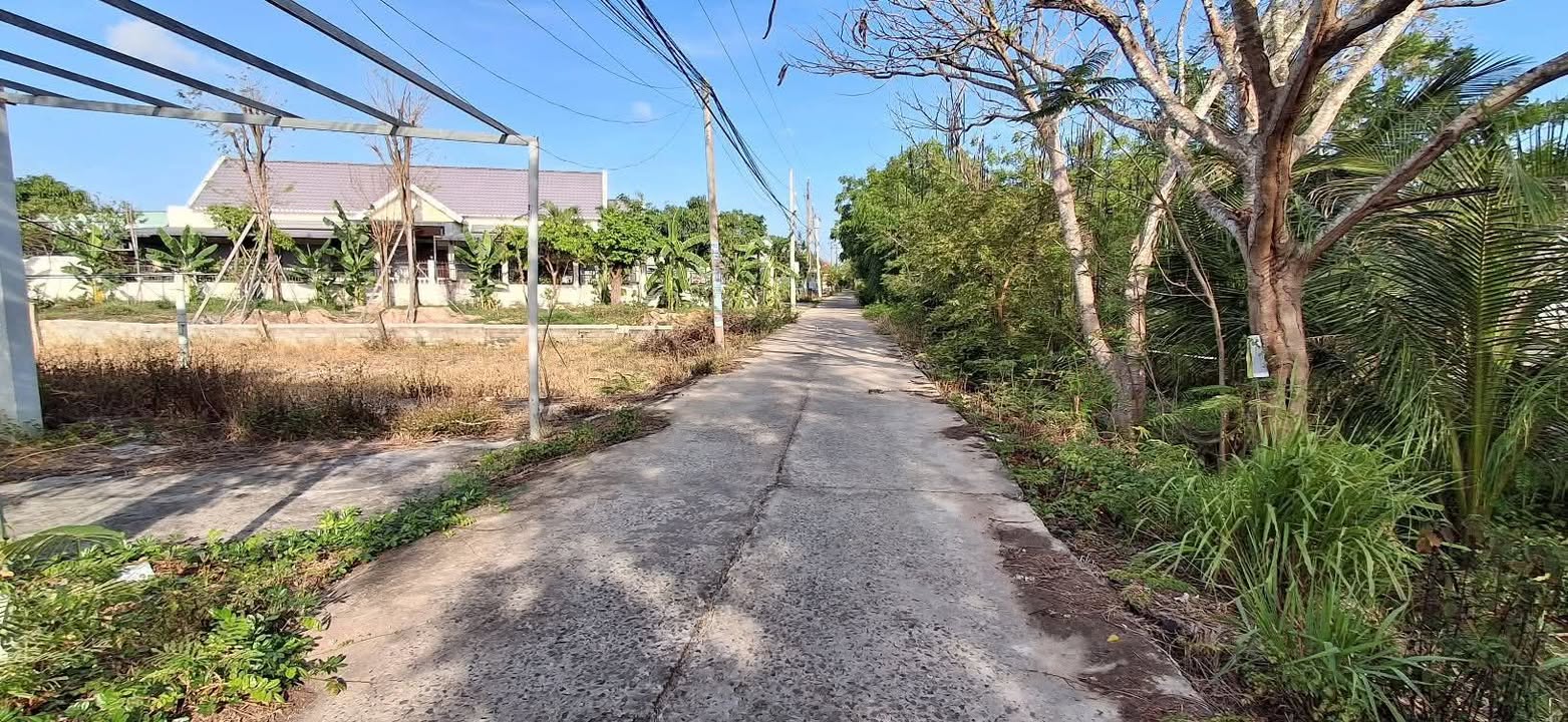 Đất nền KDC Suối Cát Hàm Liêm 111m² - Tiềm năng tăng giá!