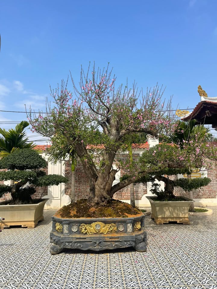 Đất nền Thị trấn Bút Sơn 125m² - Sổ đỏ chính chủ, đường to ô tô!