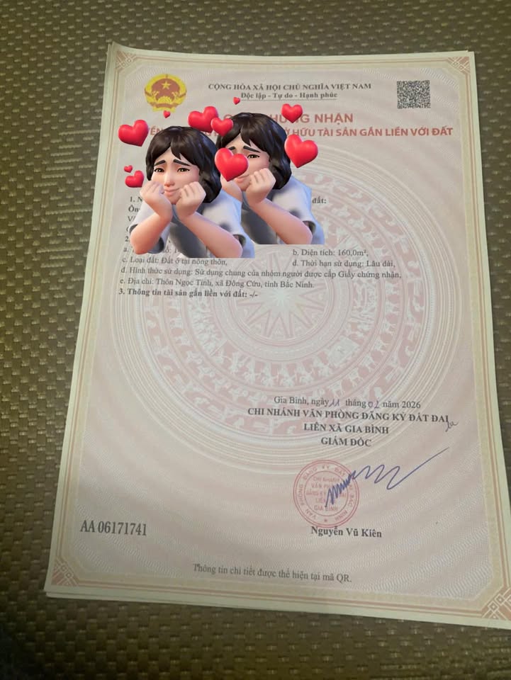 Đất nền Gia Bình, Bắc Ninh 160m² - Đường to ô tô, sổ hồng sẵn sàng!