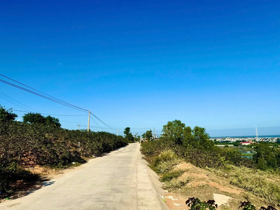 Đất vườn Sơn Hải Ninh Thuận 1.000m² giá 2 tỷ - View biển trực diện!