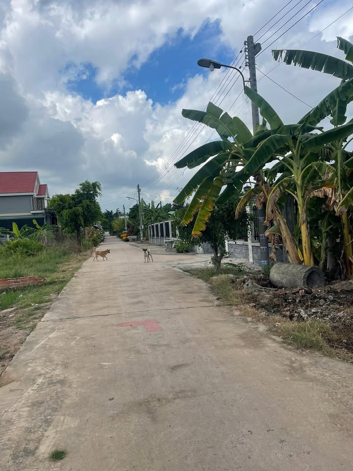 Bán Đất Nền Sổ Đỏ Xã Long Thọ, Nhơn Trạch - 100m² Giá 4 Tỷ