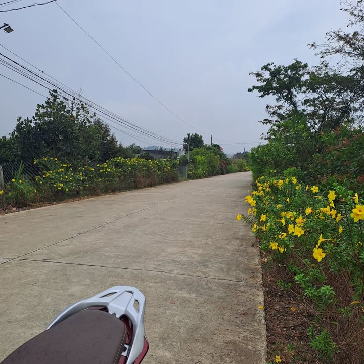 Đất nền Thị trấn Đạ Tẻh 300m² - Sổ đỏ chính chủ, tiềm năng tăng giá!