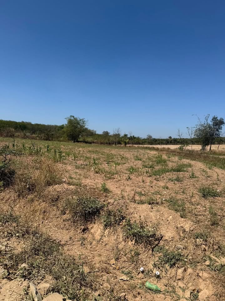 Bán Gấp 8.5 Sào Đất Góc 2 Mặt Tiền Eapo, Đắk Nông - 650 Triệu