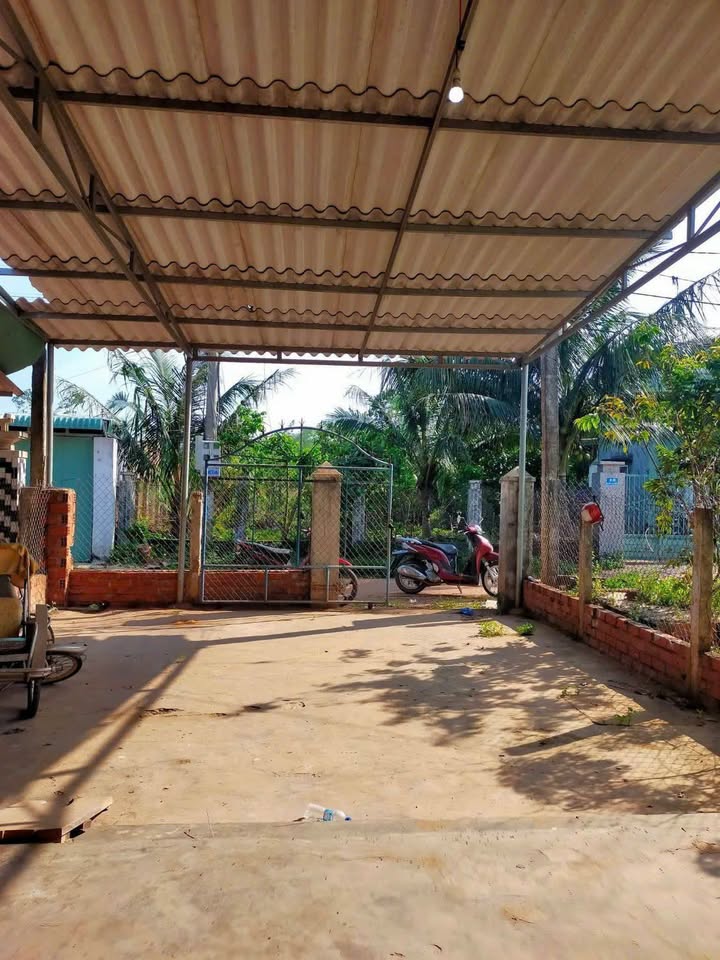 Bán nhà Phù Cát 205m² giá chỉ 900 triệu - Chính chủ bán gấp!