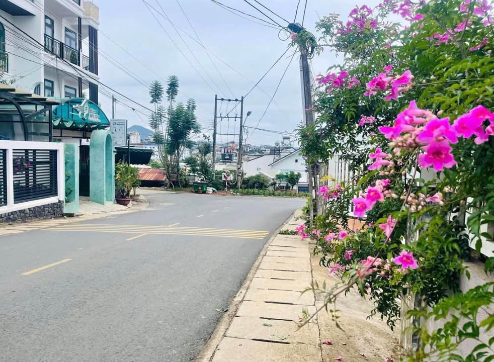 Đất nền Vạn Hạnh Đà Lạt 216m² 8.2 tỷ - Pháp lý rõ ràng