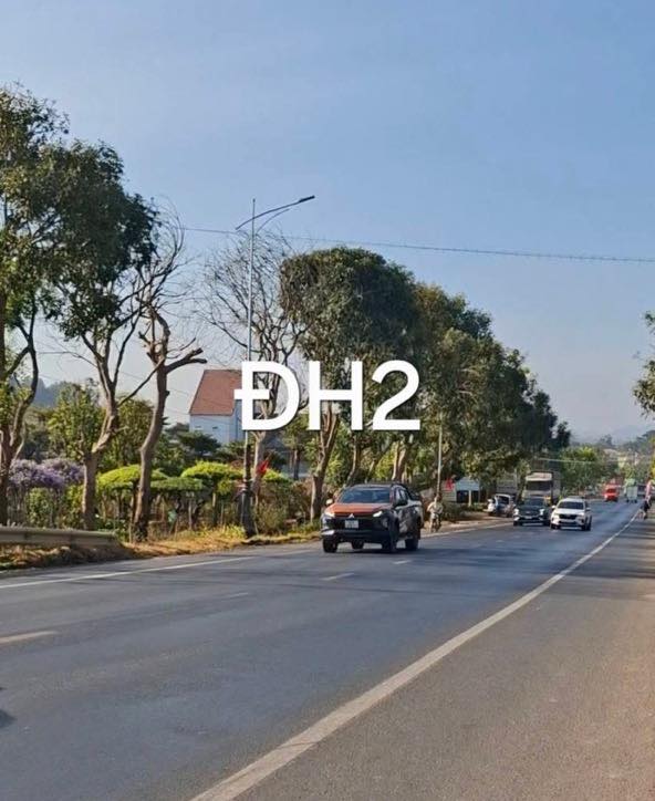 Đất Mặt Tiền ĐH2, Di Linh - 280m² Kinh Doanh Siêu Lợi Nhuận - 1.55 Tỷ