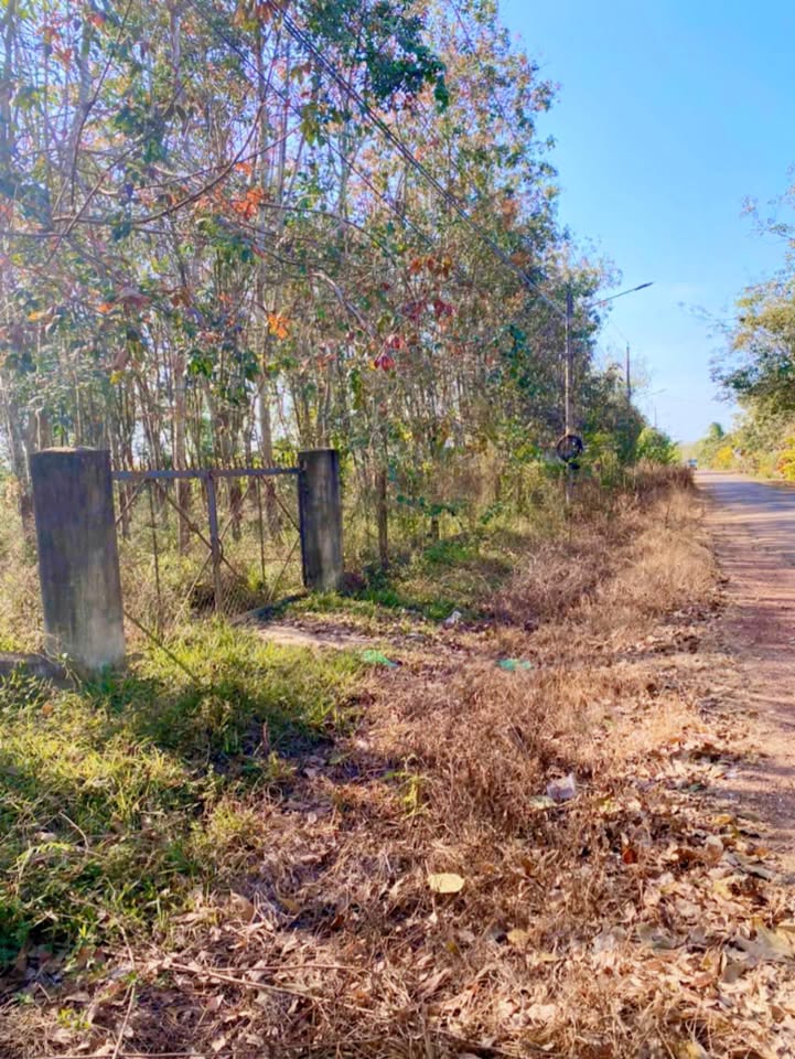 Đất nền Tân Uyên 5000m² giá 2 tỷ - Đường lớn, xe công vào tận nơi!