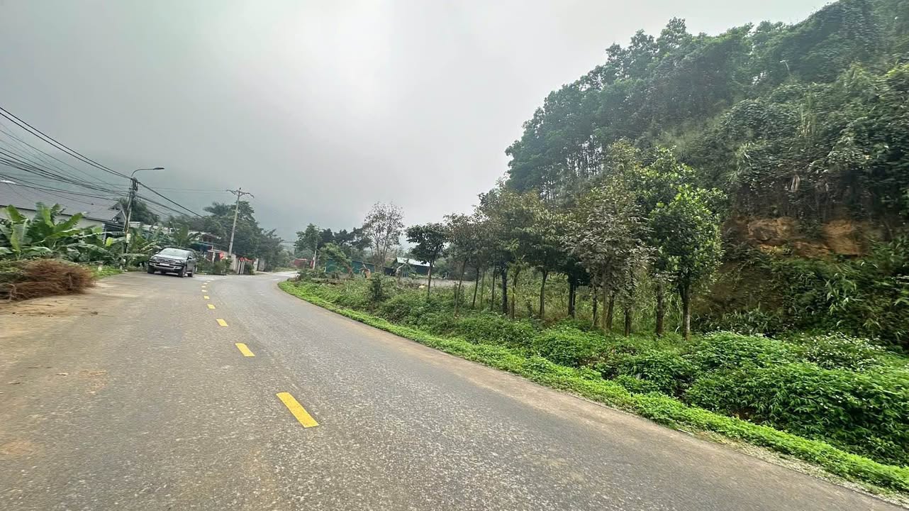 Đất nền Ao Vua Ba Vì 2.200m² - Tiềm năng tăng giá cực cao!