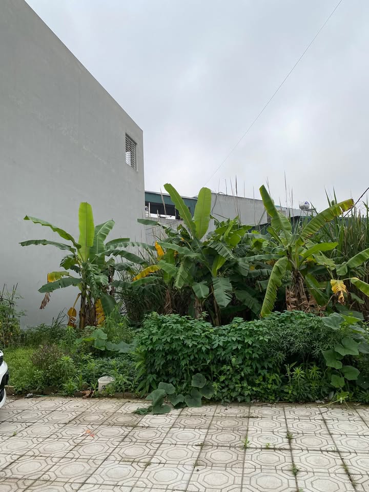 Đất Vàng Phủ Lý - 76.5m² Mặt Tiền 4.5m Hướng Đông, Sẵn Sổ Hồng