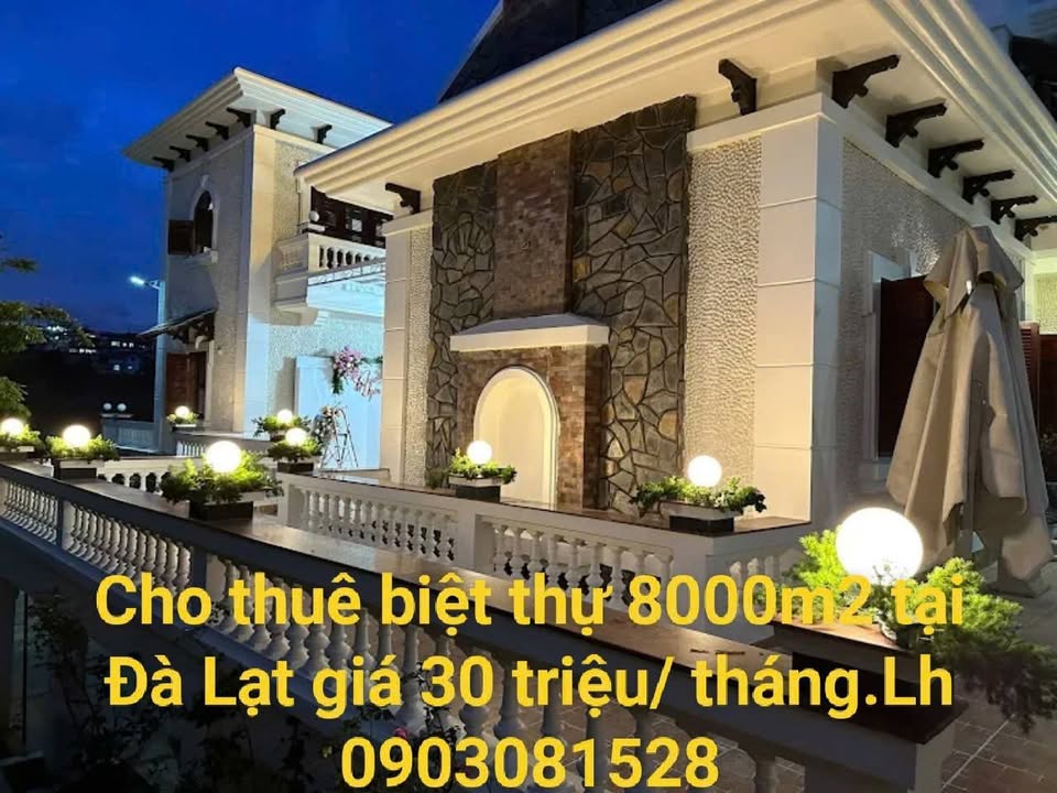 Biệt thự P.11 Đà Lạt 8k m² 30 triệu - Sẵn sàng ở ngay