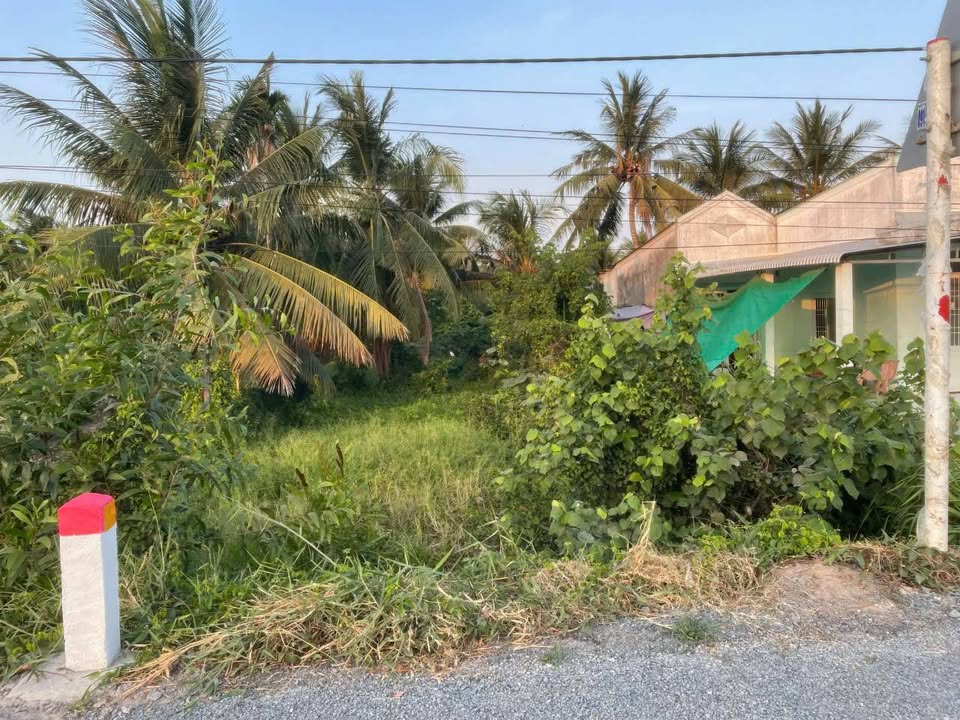 Đất Mặt Tiền Tỉnh Lộ 915B, Châu Thành, Trà Vinh - 216m² Giá 750 Triệu