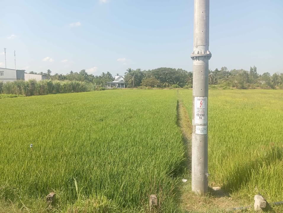 Đất nền Long Đức, Trà Vinh 6000m² - Đường to ô tô, tiềm năng vàng!