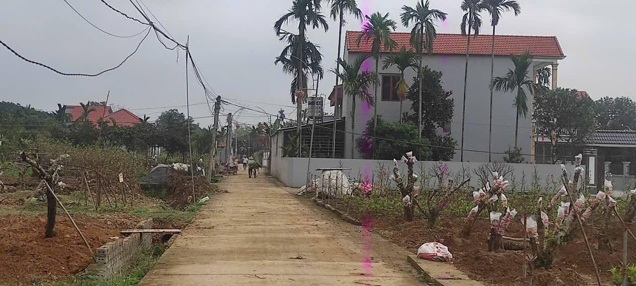 Đất vườn Gia Lâm, Nho Quan 1700m² - Sổ đỏ chính chủ, giá đầu tư tốt