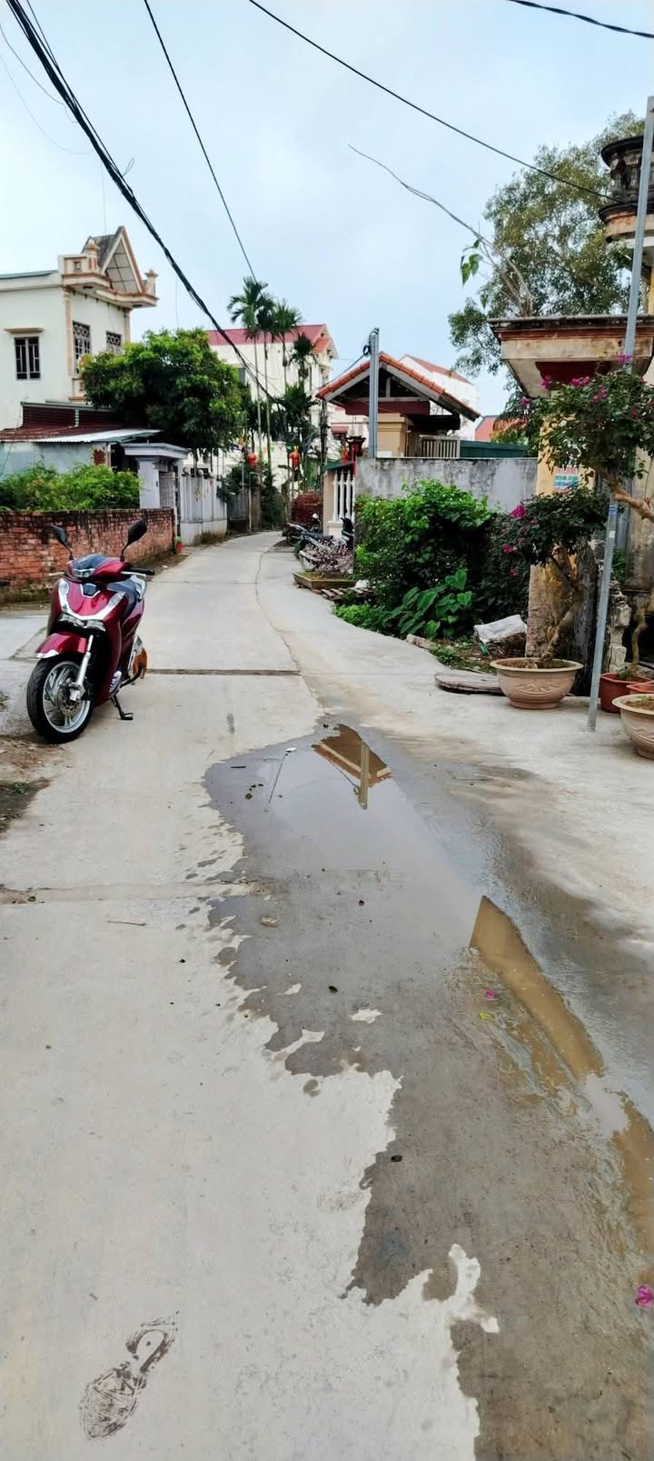 Đất nền Phố Thanh Liễu 60m² - Sổ đỏ chính chủ, giá tốt!