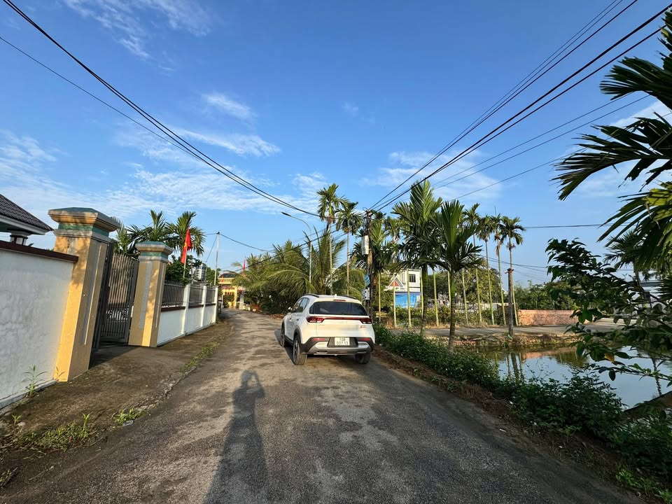 Đất nền Tân Dân An Lão 68m² giá 500 triệu - Tiềm năng tăng giá!