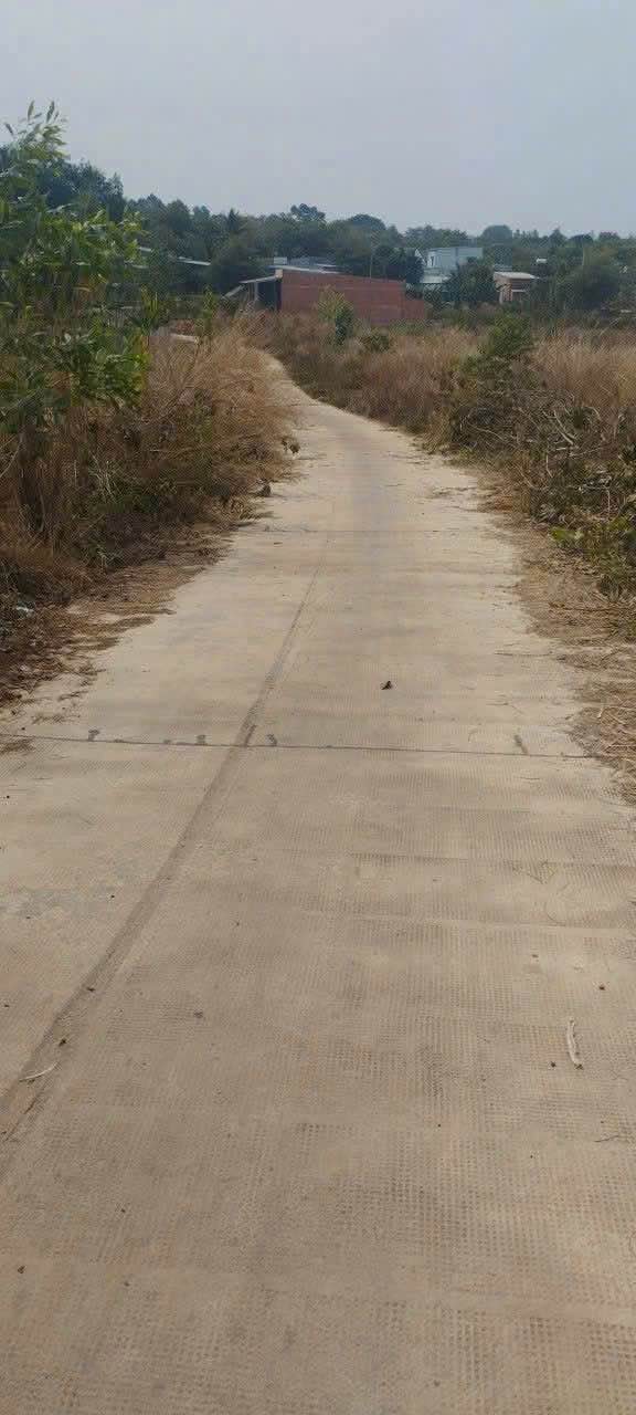 Đất nền Đồng Xoài 4900m² - Tiềm năng tăng giá vượt trội!