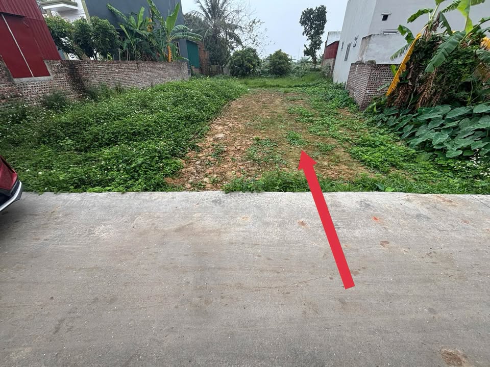 Đất nền Cẩm Xá – Mỹ Hào 100m² - Hơn 2 tỷ, ô tô vào tận nơi