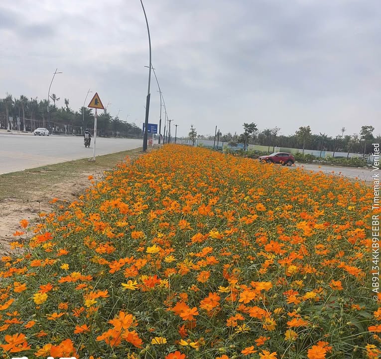 Đất nền Thái Hưng Thái Thụy 150m² chỉ 400 triệu - Sổ đỏ sẵn sang tên!