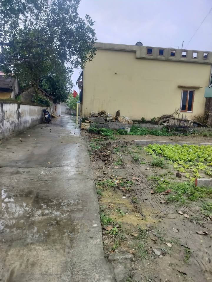 Đất nền Duyên Hải Hưng Hà 116m² - Tiềm năng tăng giá!