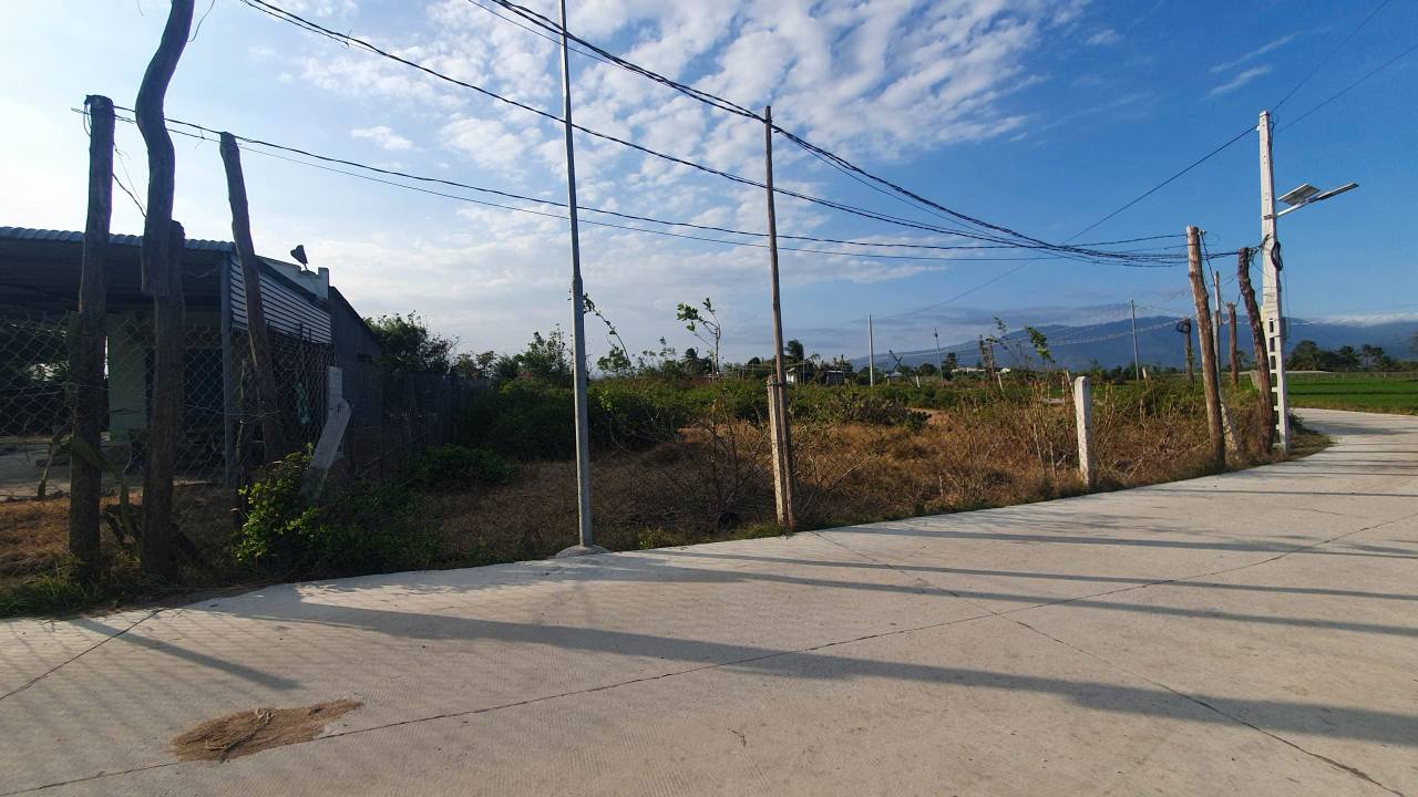 Đất Vườn Ninh Hải 976m² Sổ Hồng - Giá Đầu Tư 8xx Triệu