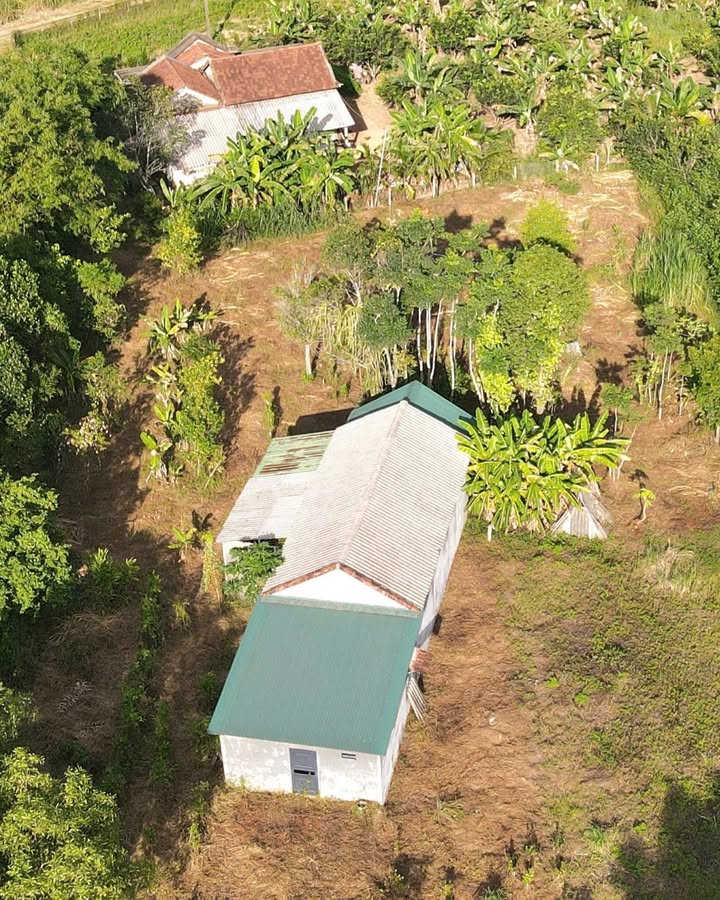 Bán Đất Vườn 1622m² Phường Hàng Thơm, Huế - Giá Tốt, Pháp Lý Rõ Ràng