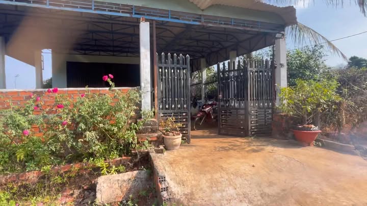 Đất Nền Ia Kla, Đức Cơ - 208m² Sổ Đỏ Sẵn Sàng - Giá 339 Triệu