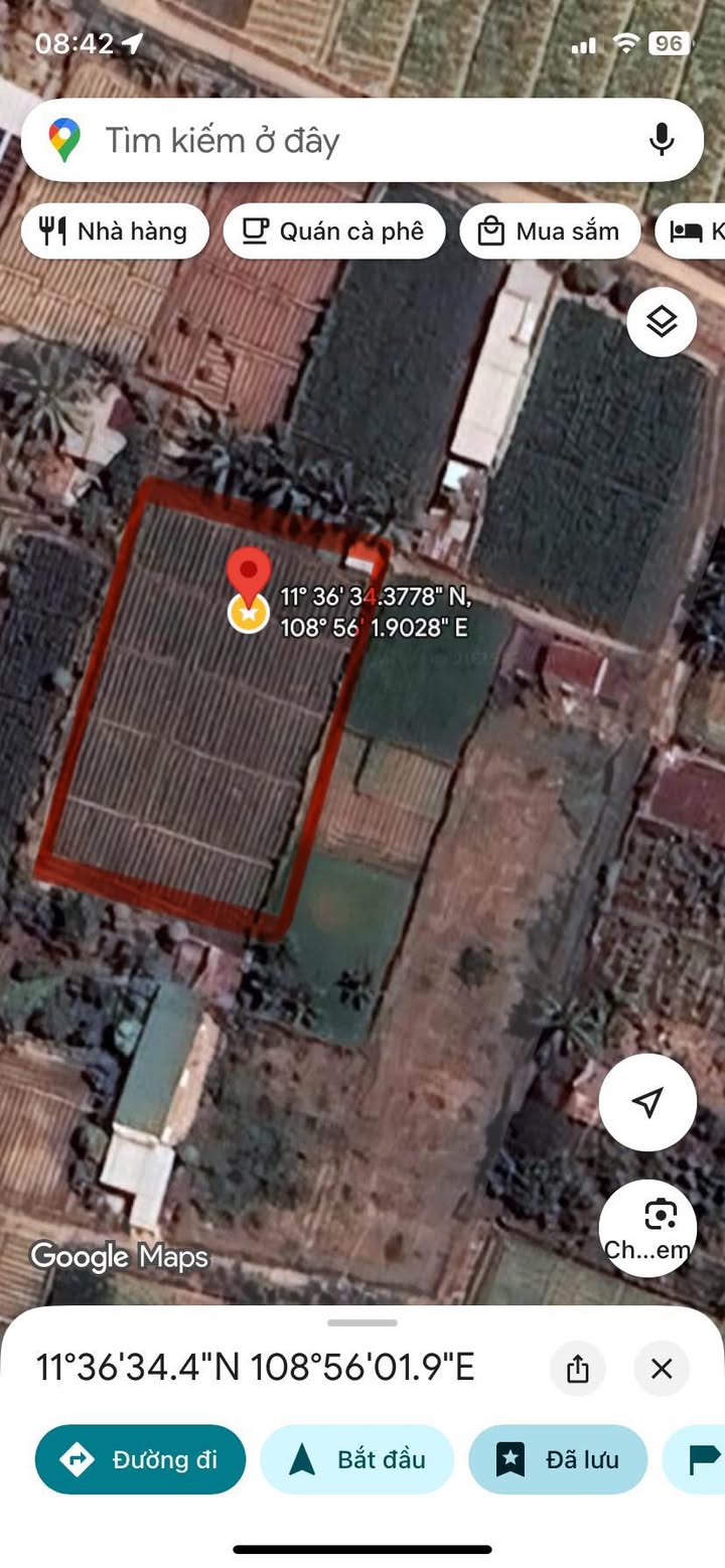 Bán Đất Vàng Đô Vinh 1266m² - Sổ Đỏ Vuông Vắn, Giá Đầu Tư 1.19 Tỷ