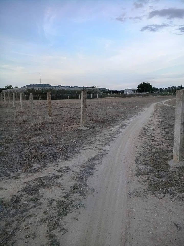 Đất nền 100m² Xã Thanh Hải, Ninh Hải - Sổ đỏ, Gần Biển Mỹ Tân