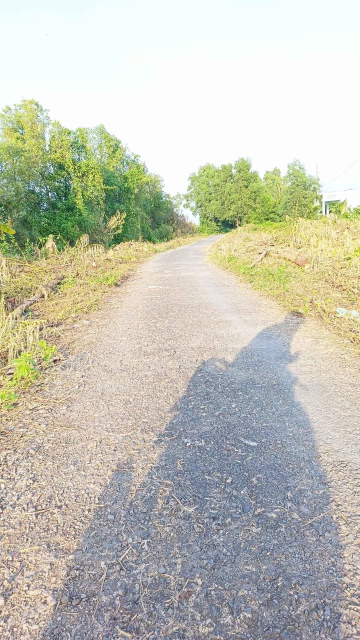 Đất nền Cà Mau - 531m² - Giá 260 Triệu - Sổ Hồng Sẵn Sàng