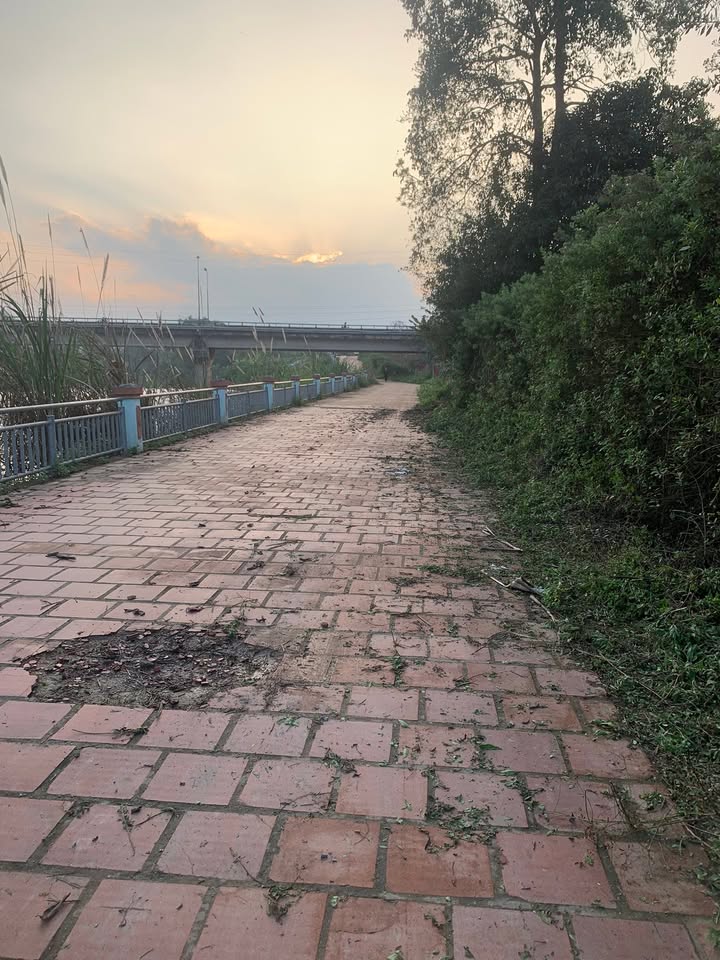 Đất nền Tô Hải Yến, TP Bắc Kạn 520m² - Sổ đỏ chính chủ!