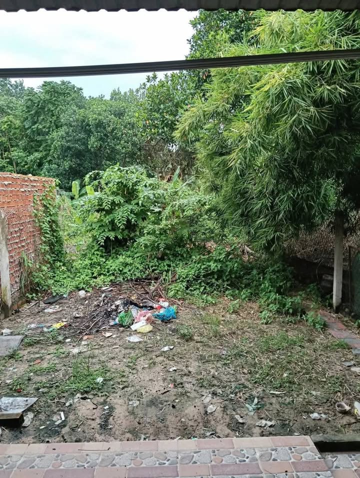 Nhà riêng Phường Định Hòa, TDM 2PN giá 4.5 triệu - Sẵn sàng ở ngay!