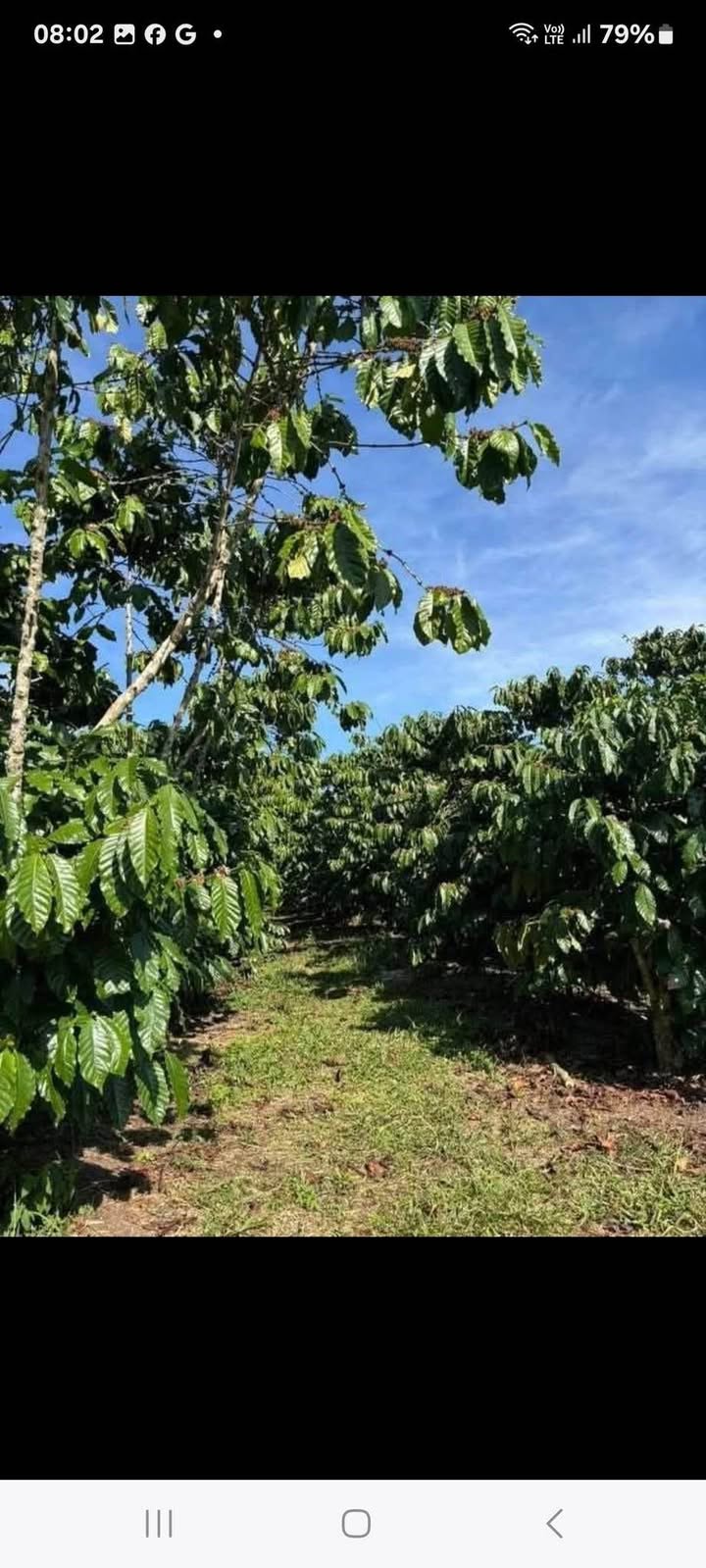 Đất nền Phường 1 Bảo Lộc 504m² - Đường ô tô tải