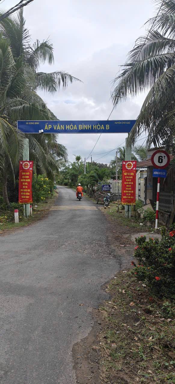 Đất nền Song Bình, Chợ Gạo 162m² - Giá F0 cực tốt, thổ cư sẵn!