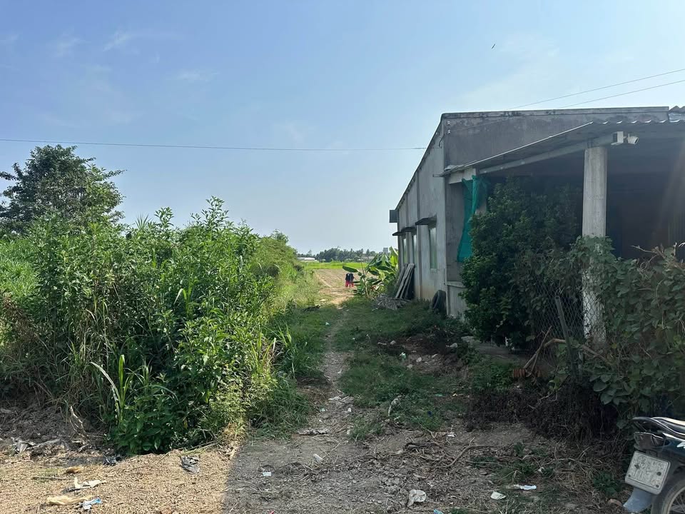 Đất nền Gò Công Tây Tiền Giang 1295m² - Sổ đỏ chính chủ!