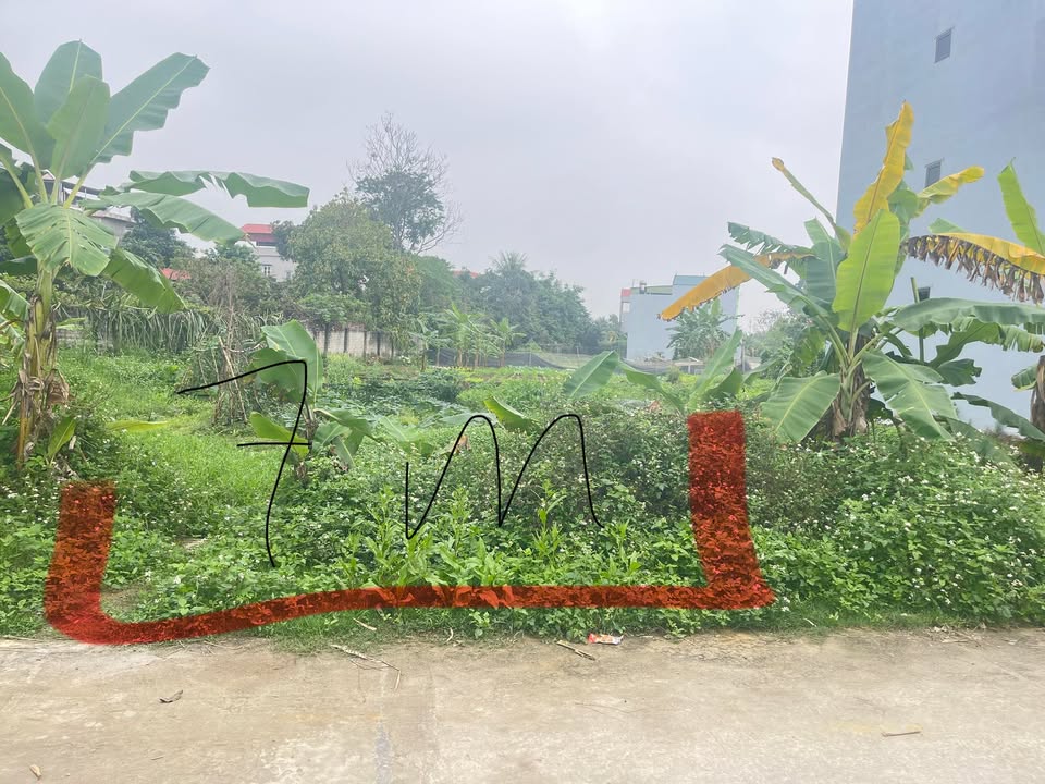 Đất nền Hiên Vân, Tiên Du 140m² - Sổ đỏ chính chủ!