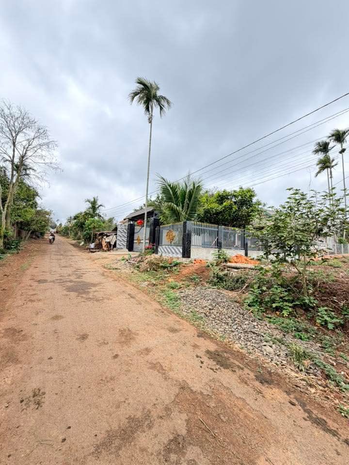 Đất Mặt Tiền Đường Nhựa Cư Bao, Buôn Hồ 300m² - Giá 400 Triệu