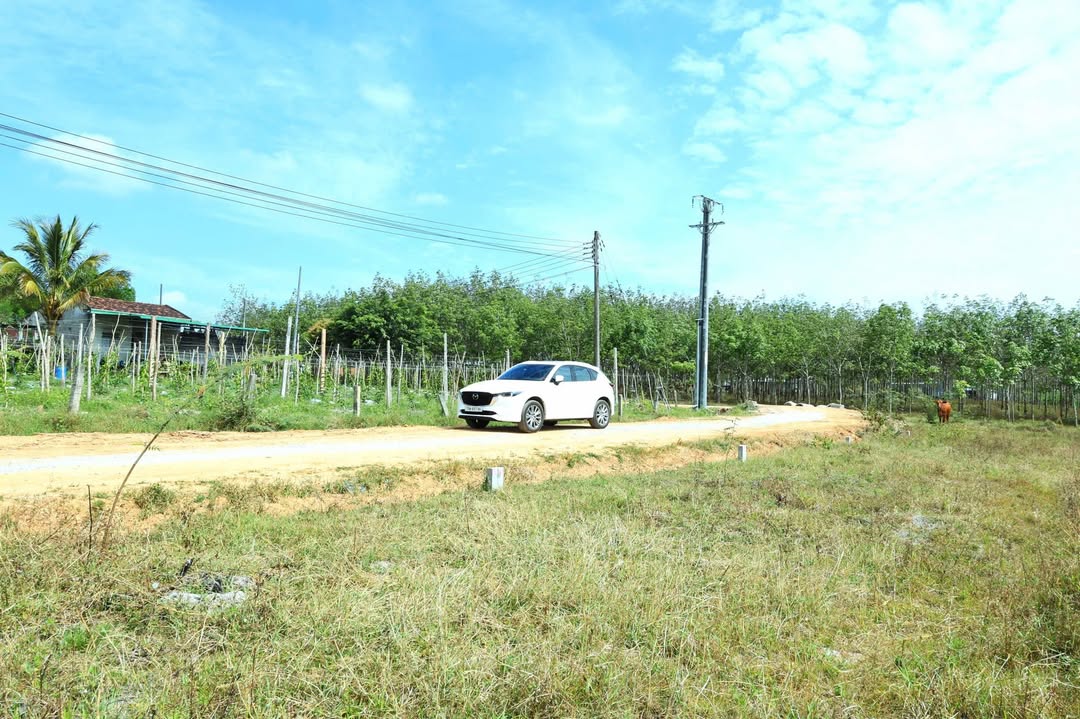 Đất Vườn Ea Păl Đắk Lắk 5000m² 380 Triệu - Nghỉ Dưỡng Lý Tưởng!