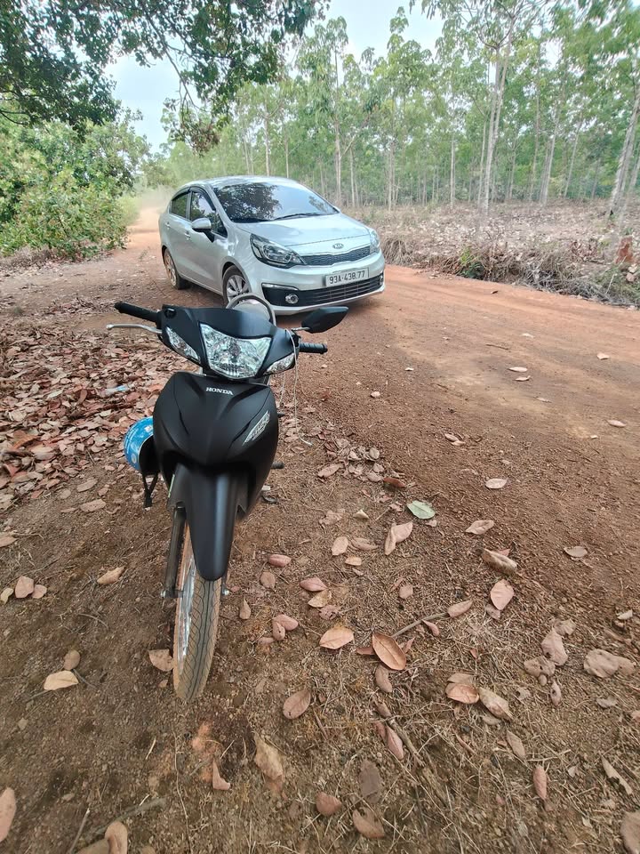 Đất Vườn 3ha Phú Riềng, Bình Phước - Sổ Đỏ Chính Chủ, Mặt Tiền Đường Ô Tô 200m