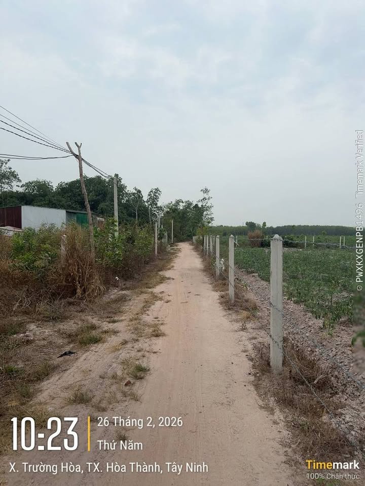 Đất nền Long Hoa, Tây Ninh 210m² - Tiềm năng tăng giá vượt trội!