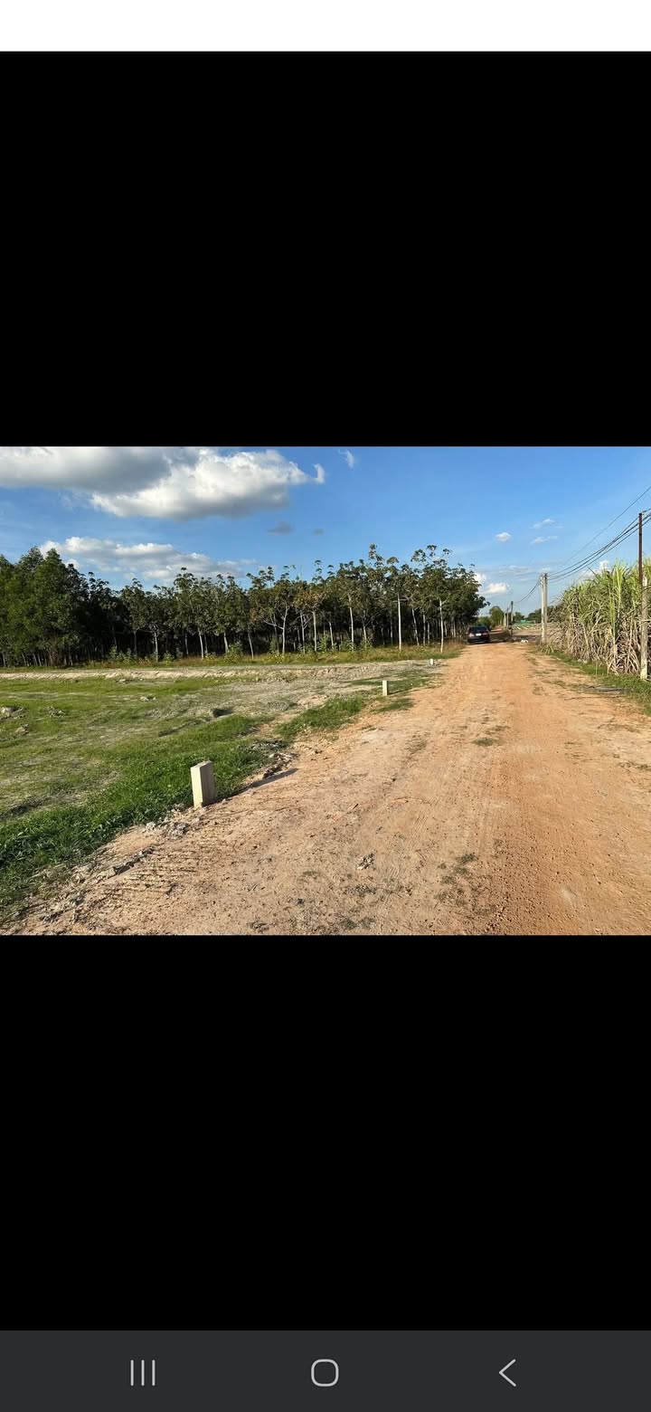 Bán Gấp Đất Nền 1000m² Xã Thành Long, Châu Thành, Tây Ninh - Giá Tốt 260 Triệu