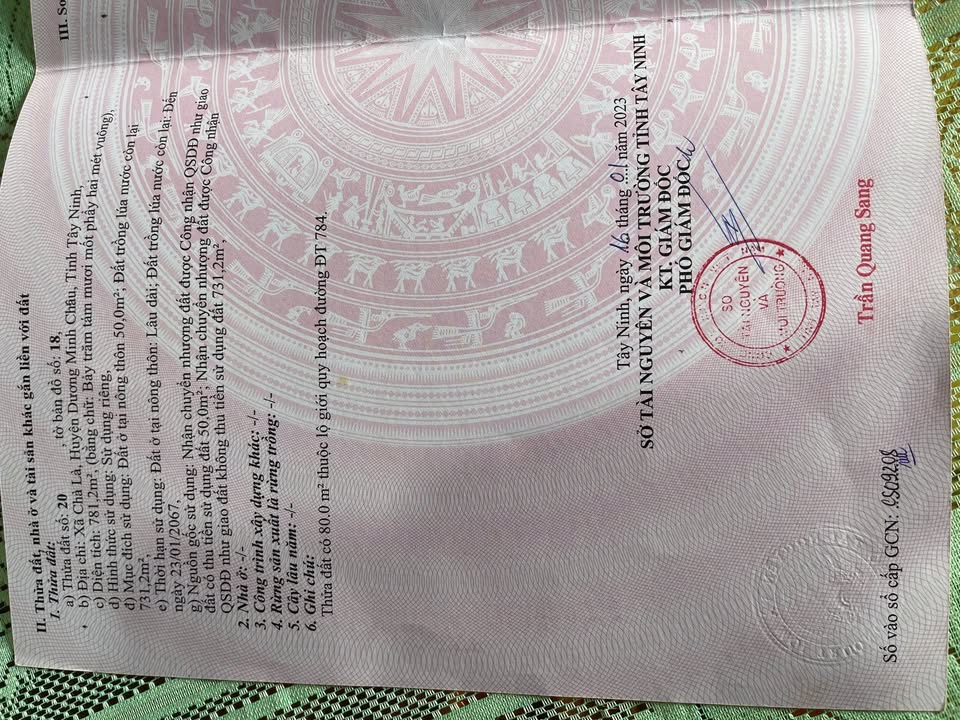 Đất nền Trảng Bàng 785m² mặt tiền ĐT784 – Đường to ô tô, kinh doanh đỉnh!