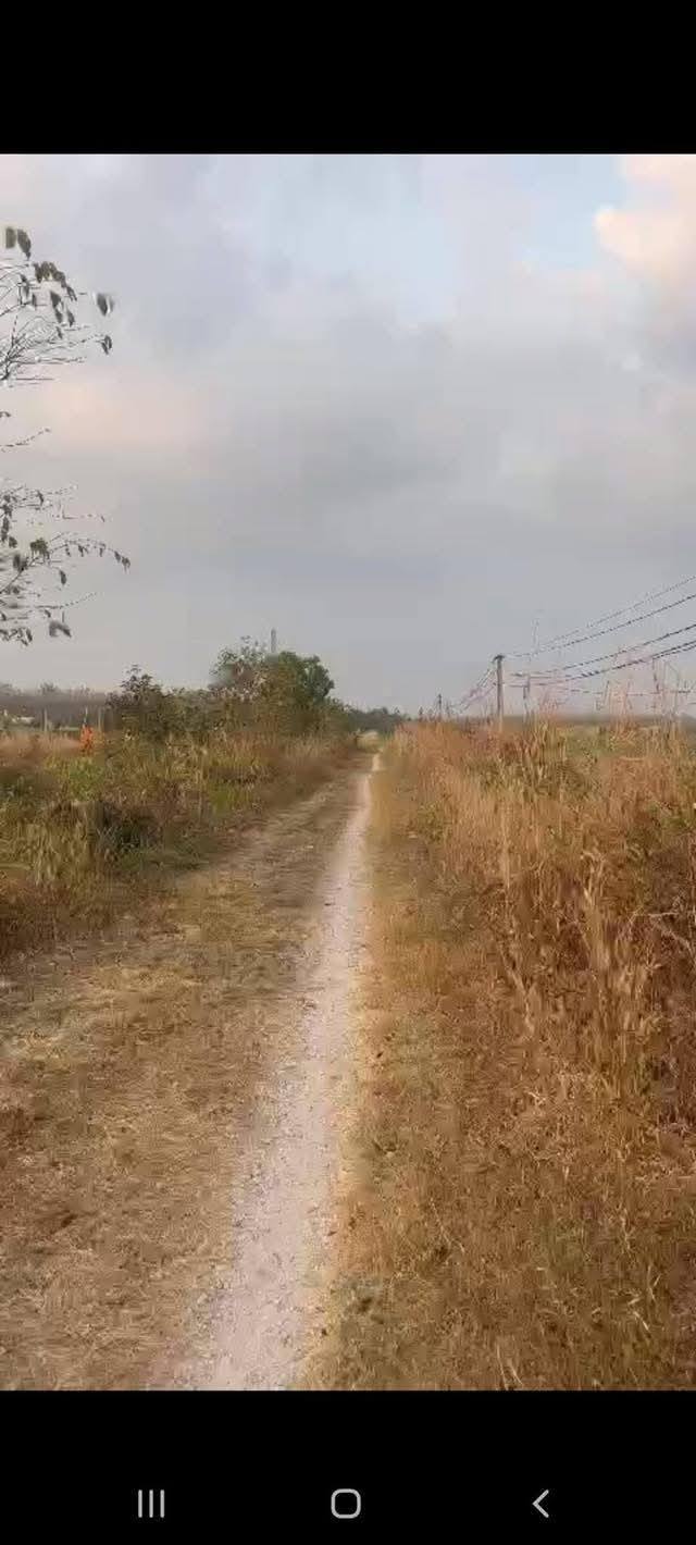 Bán đất Ninh Thạnh TP. Tây Ninh 1000m² giá 550 triệu - Vị trí đẹp