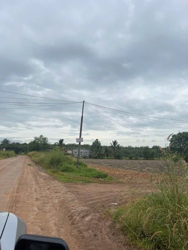 Đất nền Tân Hội, Tây Ninh 1000m² - Sổ đỏ chính chủ!