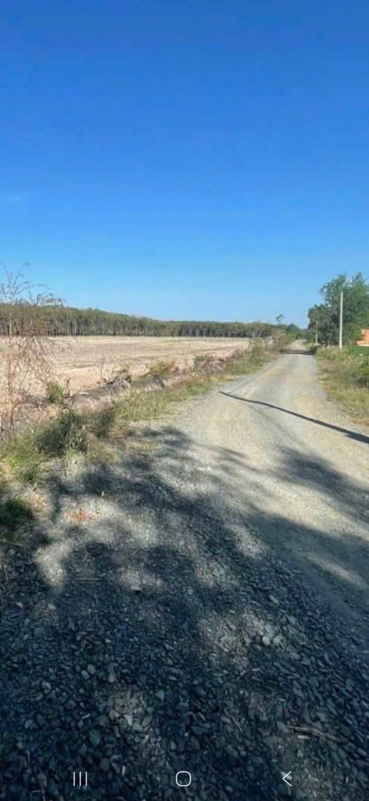 Bán Gấp Đất Vườn Thạnh Bình, Tân Biên, Tây Ninh - 29.000m² Giá Đầu Tư