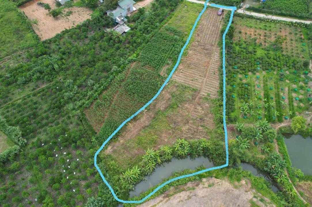 Đất nền Xã Lộc Châu Bảo Lộc 1379m² - Sổ đỏ chính chủ, giá tốt!