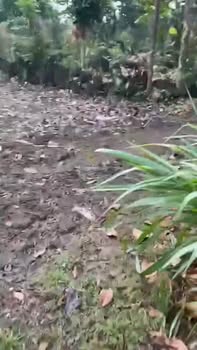 Nhà riêng Phú Lộc 360m² giá 790 triệu - Giá tốt hiếm có!