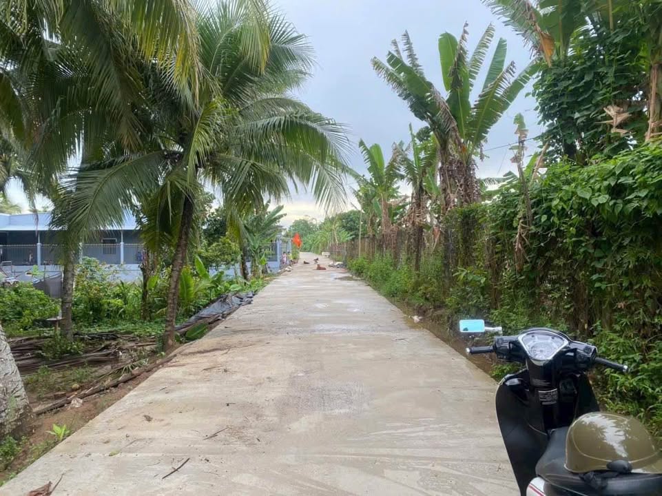 Đất nền Mỹ An, Vĩnh Long 620m² - Đường to ô tô tận nơi!