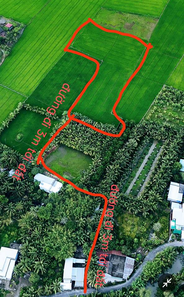 Bán Gấp Đất Ruộng 5230m² Vĩnh Long - Giá Đầu Tư Tốt