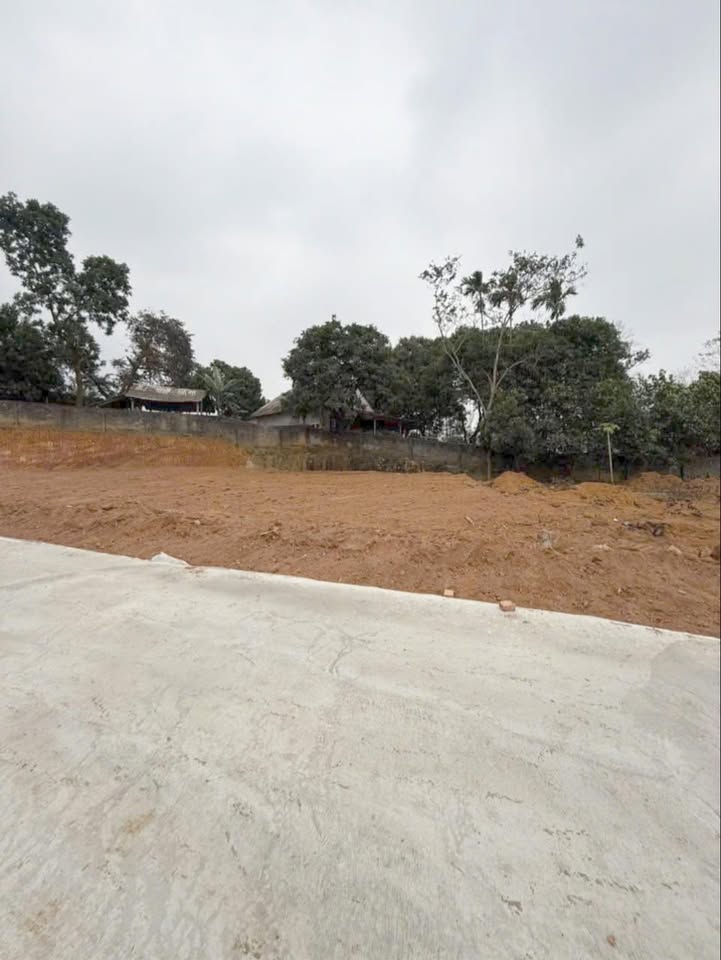 Đất Nền Phú Thọ 127m² - Giá Đầu Tư Chỉ 6xx Triệu, Sổ Đỏ Sẵn Sàng